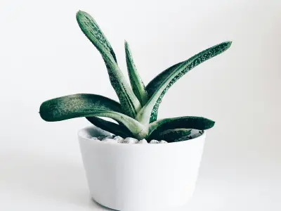 爱游戏官方